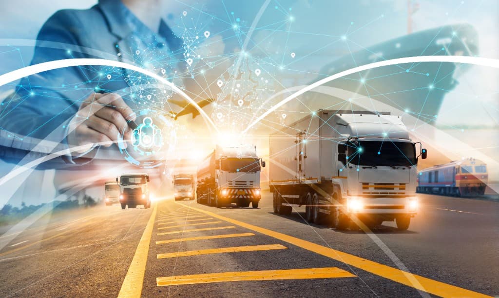 Importers and wholesalers